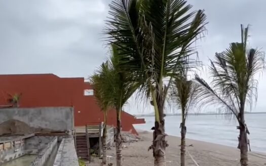 jade playa delfin